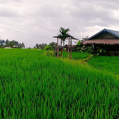Bayan Exotic Homestay Senaru Exterior foto