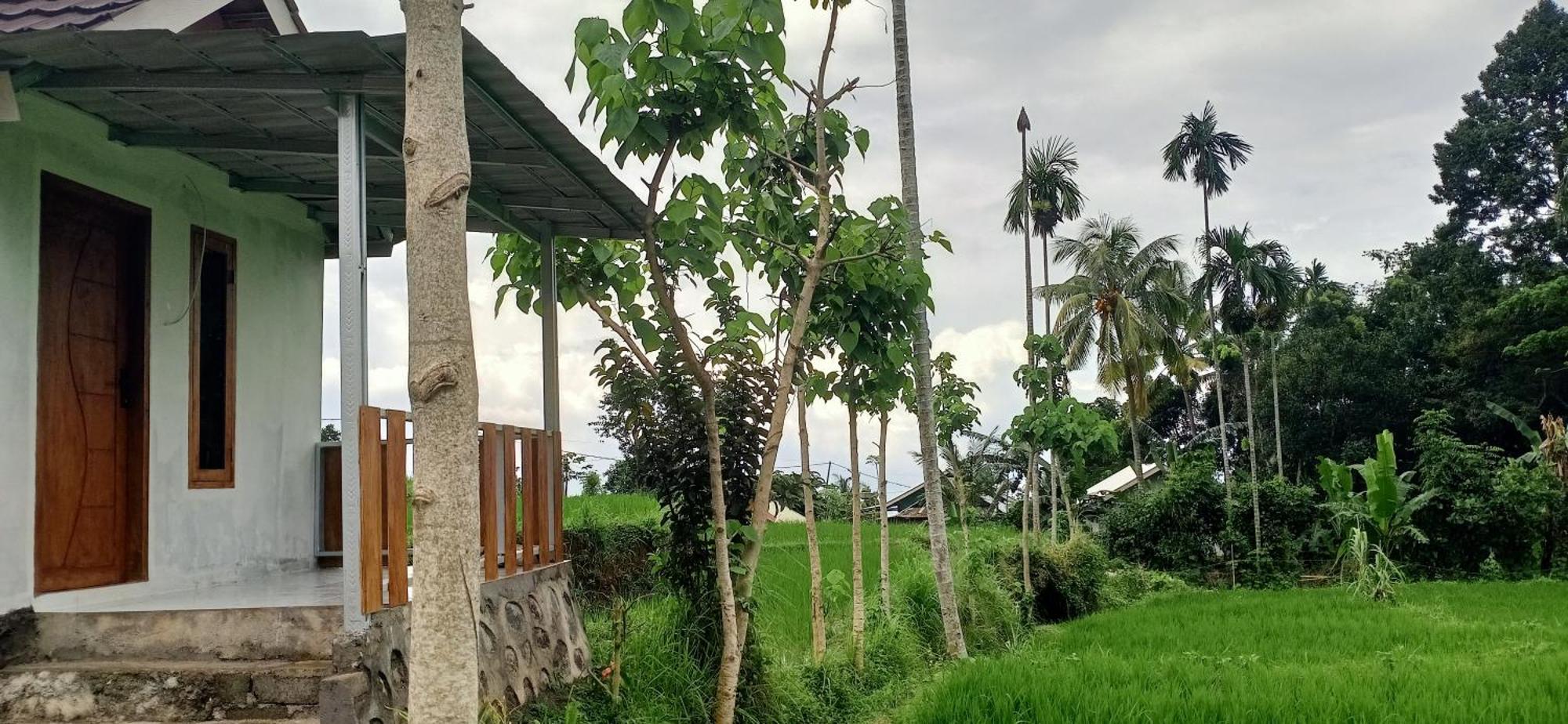 Bayan Exotic Homestay Senaru Exterior foto