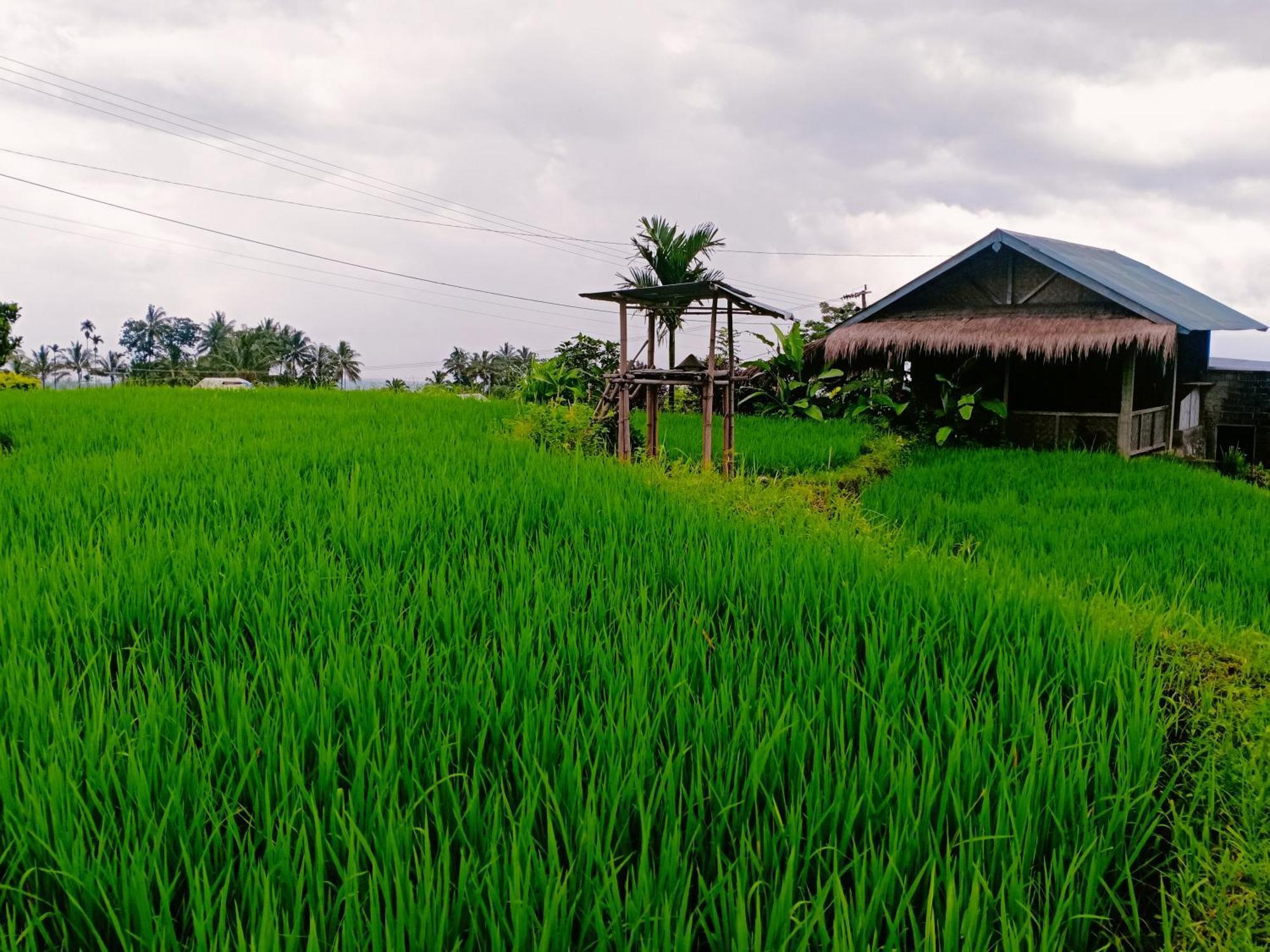 Bayan Exotic Homestay Senaru Exterior foto